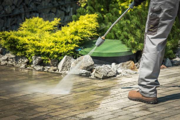 Best Factory Floor Cleaning  in Bensville, MD