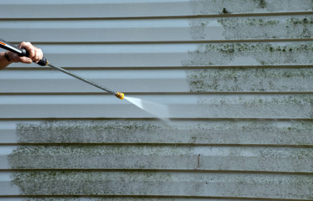 Boat and Dock Cleaning in Bensville, MD